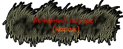 Вечерний портрет